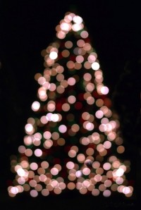 Light up linwood