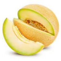 Melon - Galia