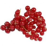 Red Currants