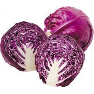 Cabbage - Red
