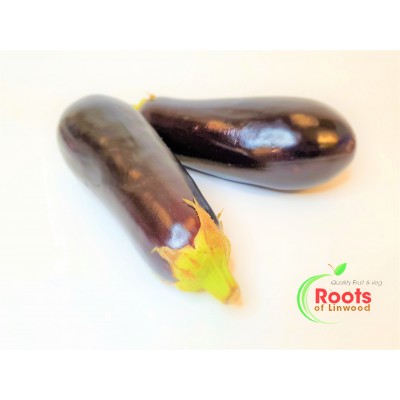 Aubergine