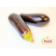 Aubergine