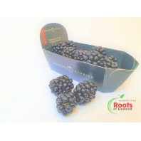 Blackberries (125g)