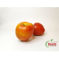 Apple - Braeburn