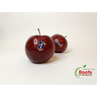 Apple - English cox