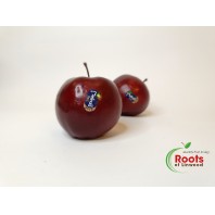 Apple - Red Delicious