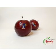 Apple - English cox