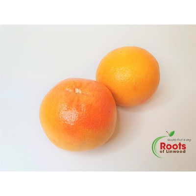 Grapefruit - Red  large