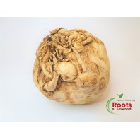 Celeriac