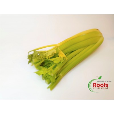 Celery