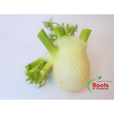 fennel x250gr