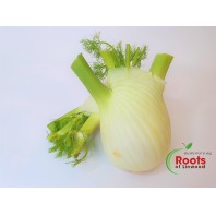 fennel x250gr