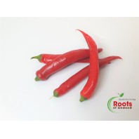 Chillies - Red (50g)