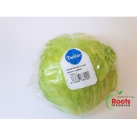 Lettuce - Iceberg